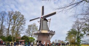 O jardim de tulipas Keukenhof, na Holanda