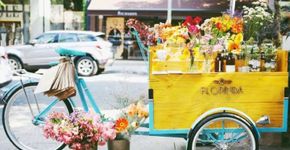 Floriculturas plantam iniciativas verdes para diferenciar negócio