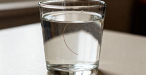 O teste capilar mais importante para descobrir seu tipo de fio