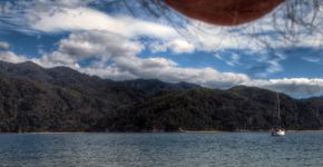 Fotos de testículo é a nova moda na internet