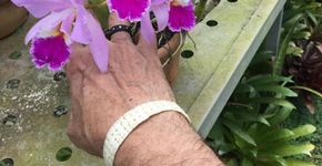 “Sempre um Papo” recebe a escritora Ana Maria Machado