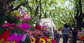 12 feirinhas de rua para ficar de olho em BH