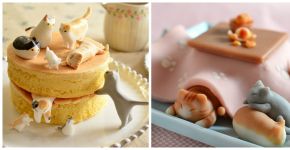 Mãe e filha criam doces incríveis inspiradas em gatinha de estimação