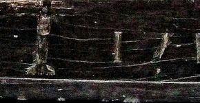 Foto: (Picasa)