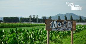 Wwoof, a experiência mais incrível da nossa volta ao mundo