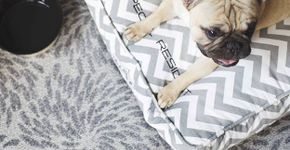 Foto: (Divulgação)