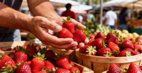 Geladeira deixa morango aguado então limite tempo lá a poucas horas antes de comer