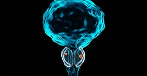 Foto: (ALIOUI Mohammed Elamine/istock)