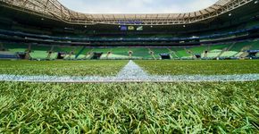 Foto: (Reprodução - @allianzparque/Instagram)