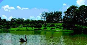 Parque do Carmo tem aulas gratuitas de Lian Gong