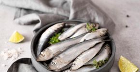 Foto: (iStock/Olga Gagarova)
