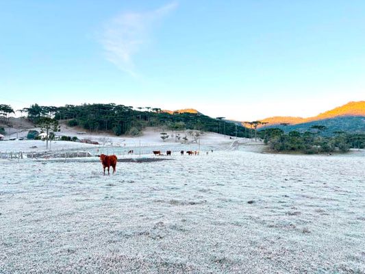 O frio intenso voltou a transformar as paisagens de Urubici em um verdadeiro cenário de inverno