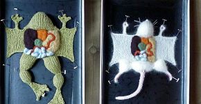 Artista cria animais em crochê para acabar com dissecação