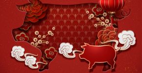 Veja as características do signo do Javali no Horóscopo Chinês