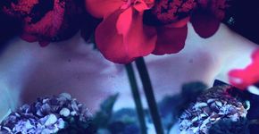 Fotógrafa mescla flores e mulheres.