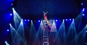 Happy Day Circus no Atrium Shopping é opção de diversão no feriado