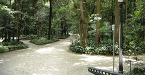 Trilha noturna no Parque Trianon