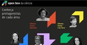 Foto: (Reprodução)