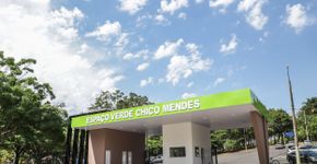 Foto: (Foto: Divulgação.)
