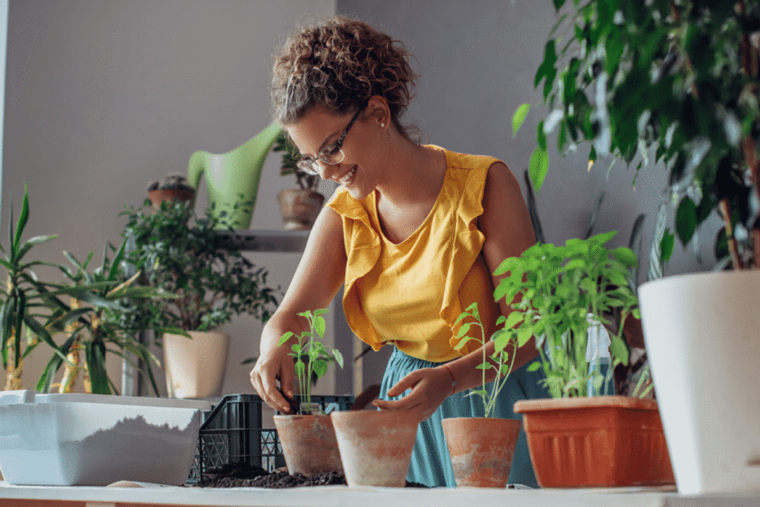 Plantar uma semente pode representar simbolicamente o início de um projeto ou transformação (Imagem: Likoper | Shutterstock)