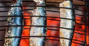 Em nova série, Amigo Gringo mostra interior de Pernambuco