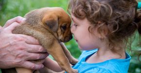 Foto: (Banco de imagens | DepositPhotos)