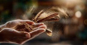 Como atrair prosperidade com canela e moeda