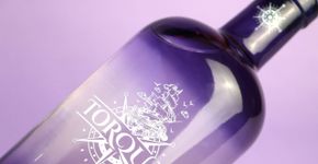 Dia do Consumidor: desconto especial na linha Torquay