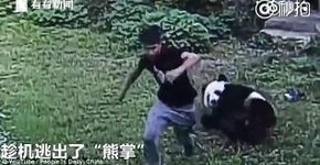 Foto: (© YouTube / People?s Daily, China)