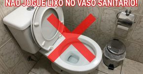 Demorei bastante para entender por que o papel higiênico não deve ser jogado dentro do vaso sanitário