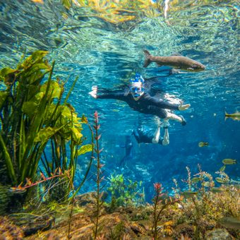 Featured mobile: Venda direta de passeios ameaça mudar o equilíbrio do turismo em Bonito (MS)