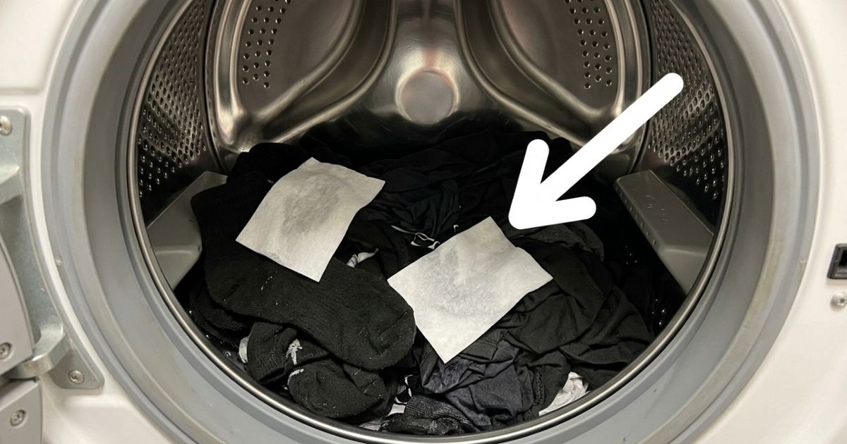 Ao lavar roupas pretas, coloque essas duas folhas junto e veja os fiapos brancos desaparecerem por completo