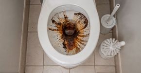 Apenas uma colherada: por que cada vez mais pessoas estão jogando borra de café no vaso sanitário