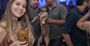 Foto de cachorro sendo expulso de balada vira meme na internet