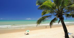 Foto: (Divulgação/Guta da Bahia)