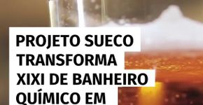 Iniciativa sueca transforma urina de banheiros químicos em adubo para cultivo de cevada