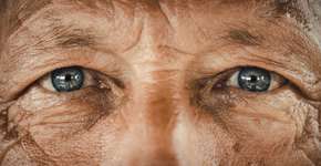 Foto: (skynesher/istock)