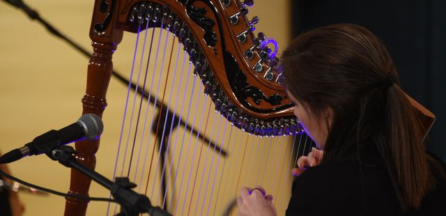 XX RioHarpFestival