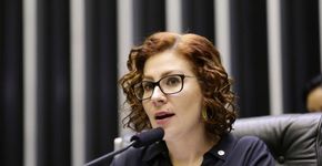Foto: (Agência Câmara/ Michel Jesus)