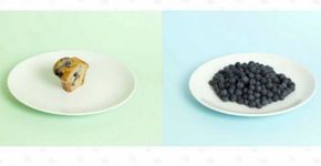 Aplicativo compara caloria de alimentos