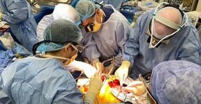 Foto: (divulgação/Northwell Health)