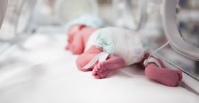 Foto: (mvaligursky/istock)