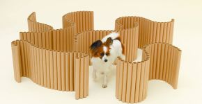 Foto: (Architecture for Dogs)