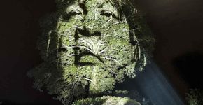 Arte pela floresta Amazônica