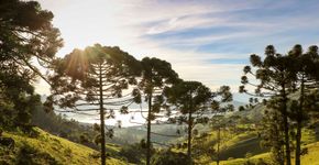 Foto: (Clodoaldo Costa/Turismo de Minas)