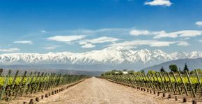 Foto: (Edsel Querini/istock)