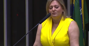 Foto: (Reprodução/TVCâmara)