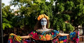 Foto: (Reprodução iStock | FG Trade Latin)