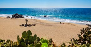 Foto: (Alex Borderline/iStock)