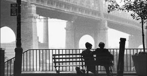 “O Fantástico Woody Allen” na Biblioteca Viriato Corrêa